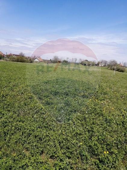 De vânzare teren intravilan, 6574 mp în Leș - 4