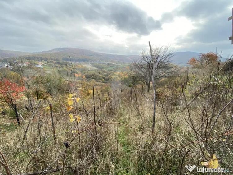 Teren extravilan suparfata 787 mp in zona Bradet - 2