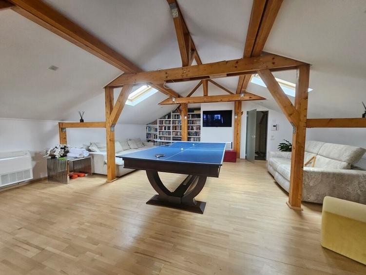 Vila individuala superba Mogosoaia! - 10