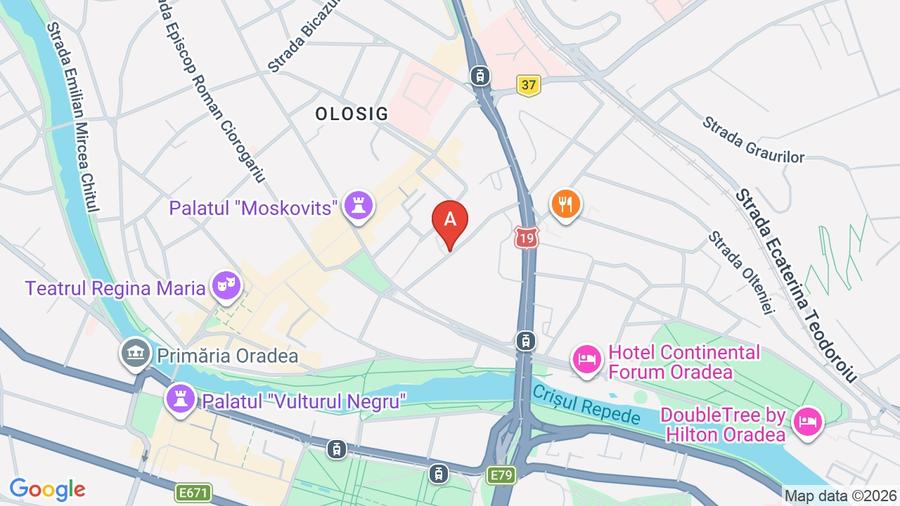 BIROURI DE INCHIRIAT ULTRACENTRAL ORADEA - CLADIRE NOUA - 6