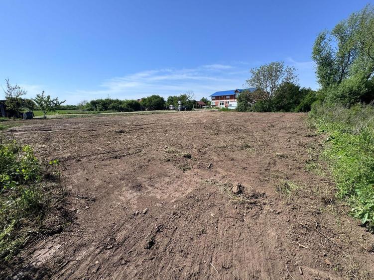 Vand teren intravilan in Sanmartin - 4