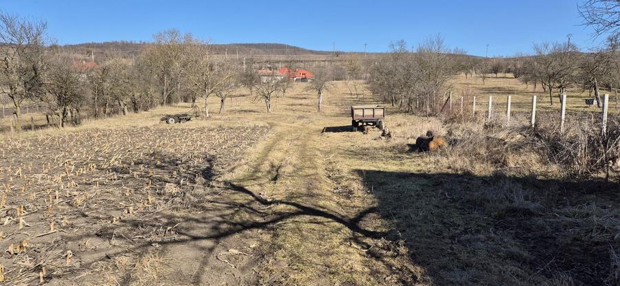 Casa spatioasa in localitatea Bagara, Cluj - 4