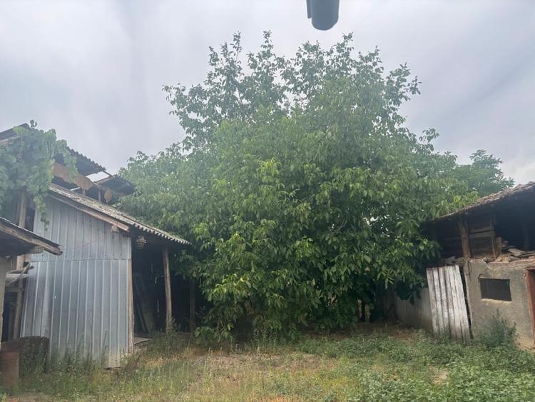Casă individuală cu 6 camere cu Teren 2023 Mp în Leu