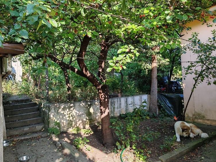 Casă cu 3 camere în Dâmbul Rotund