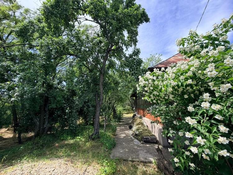 Casă cu 2 camere cu Teren 1192 Mp în Mischii