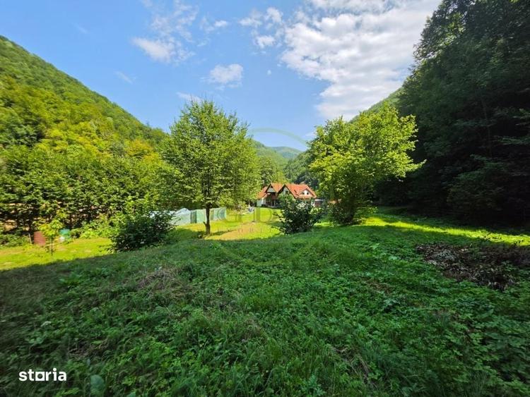 Proprietate Extraordinara Lotrioara, Judetul Sibiu! - 13