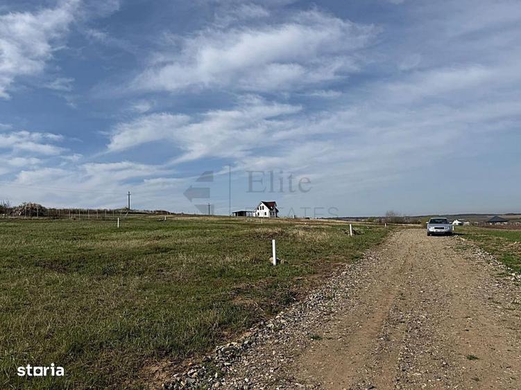 Teren intravilan 700 mp de vanzare in Paleu - 4