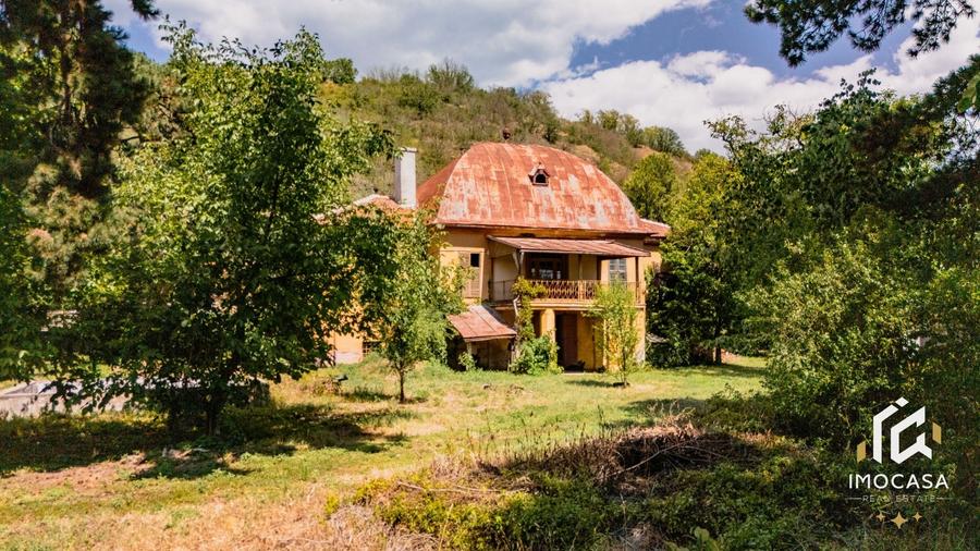Vila Conac boieresc contelui Fabia 1920 de vânzare Păuliș Arad 2,4 ha - 7