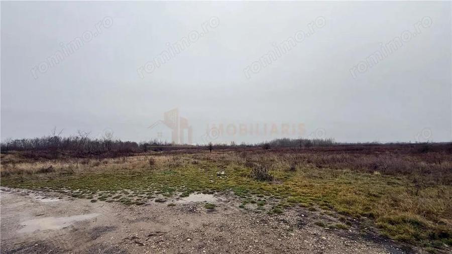 Parcele de teren industrial, Tautii Magheraus - 4