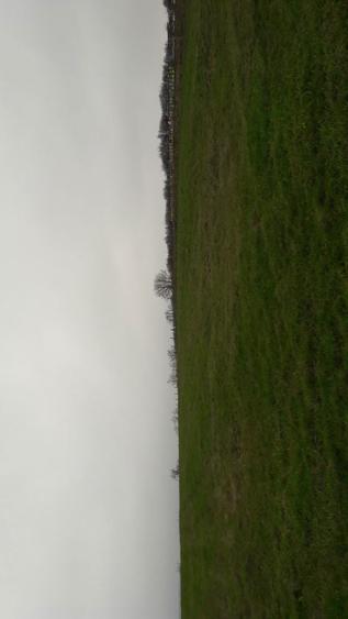 Teren extravilan Iasi/Poieni .3700mp - 2