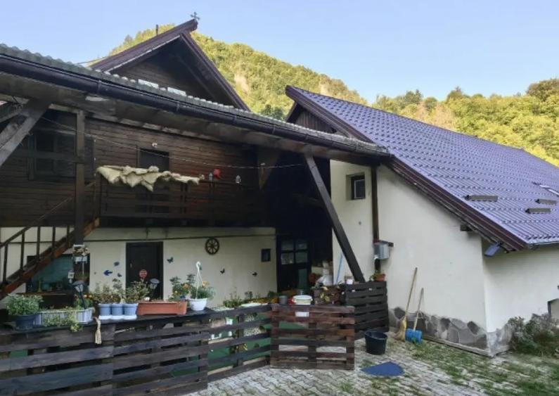 Vila/ pensiune - 11 camere - Moieciu de jos - 8