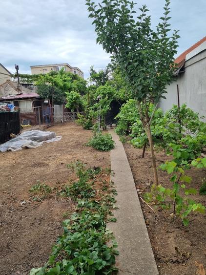 Vând casă în zona Viile Noi 400 mp teren și construcție 110 mp - 4