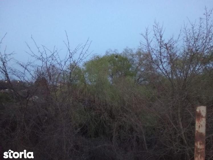 MEGA OCAZIE SE VAND PARCELE LA CEL MAI BUN PRET CU DESCHIDERE LA LACUL - 4