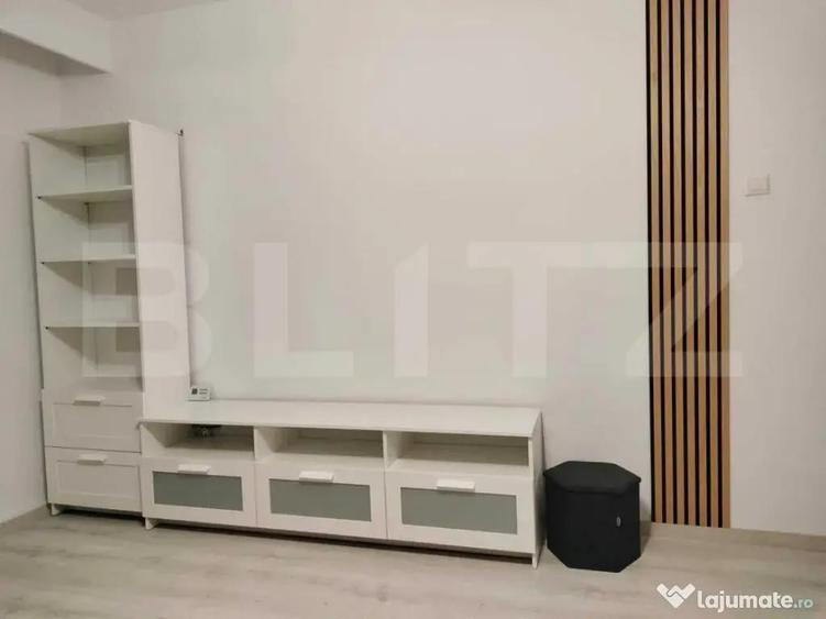 Apartament cochet de inchiriat , zona Plopilor - 3