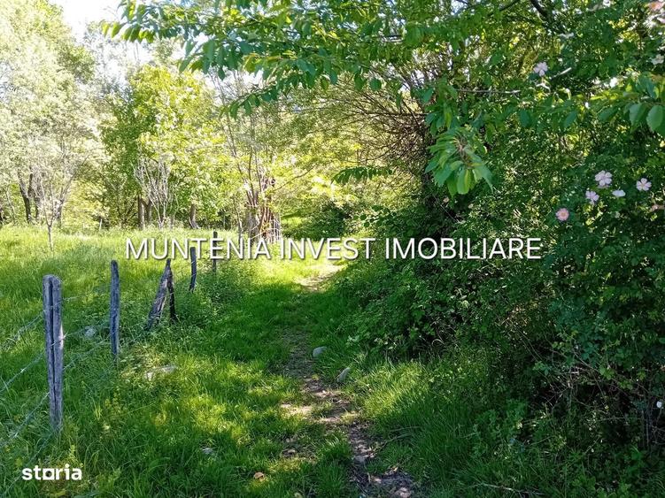 Teren 5596 mp. Com.Bradulet ,sat Galesu. - 3