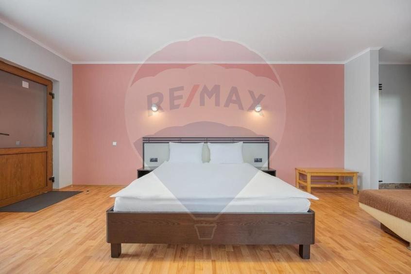 Casă / Vilă cu 16 camere de vânzare Sanmartin/Stefan cel Mare - 11