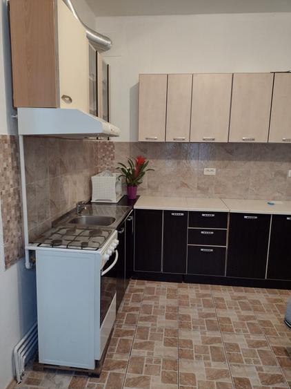 Vand apartament Ultracentral - 5