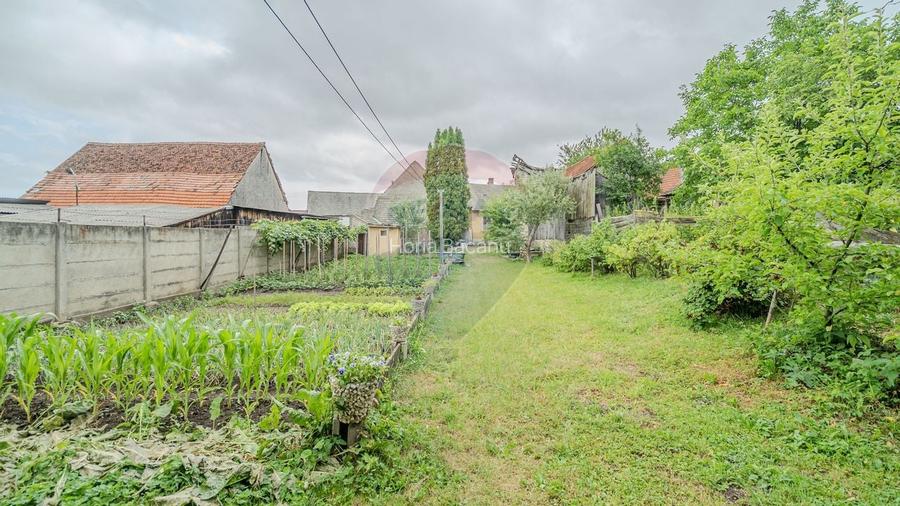 Comision 0 | Casa cu 3 camere, teren 1541 mp, livada, beci si garaj