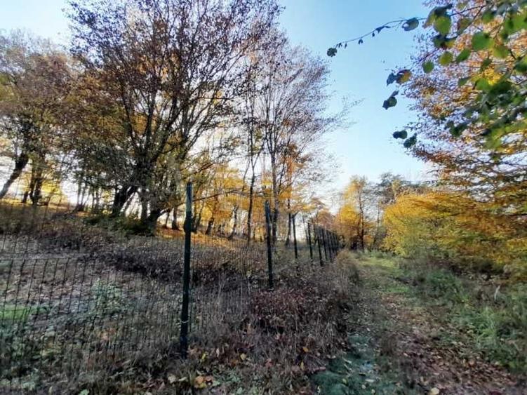 Teren intravilan pentru constructii de vanzare in Europa, Cluj Napoca - 2