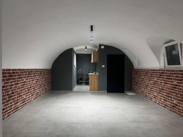 Ofer spre inchiriere spatiu cental,demisol - 1