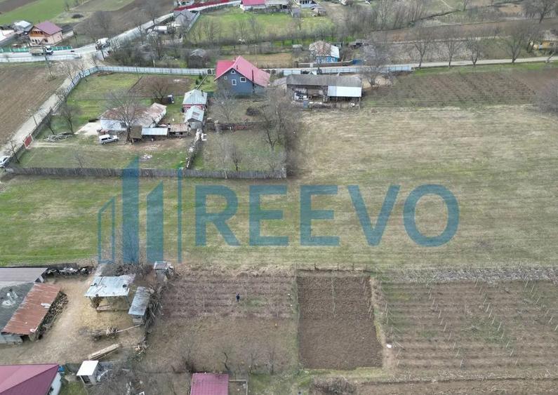 Teren de vanzare, Sat Bazga, Com. Horge?ti, Bacau - 9