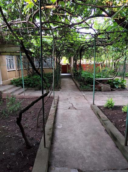 Casa de Vanzare, Sintea Mare, 6 km de orasul Chisineu Cris - 2