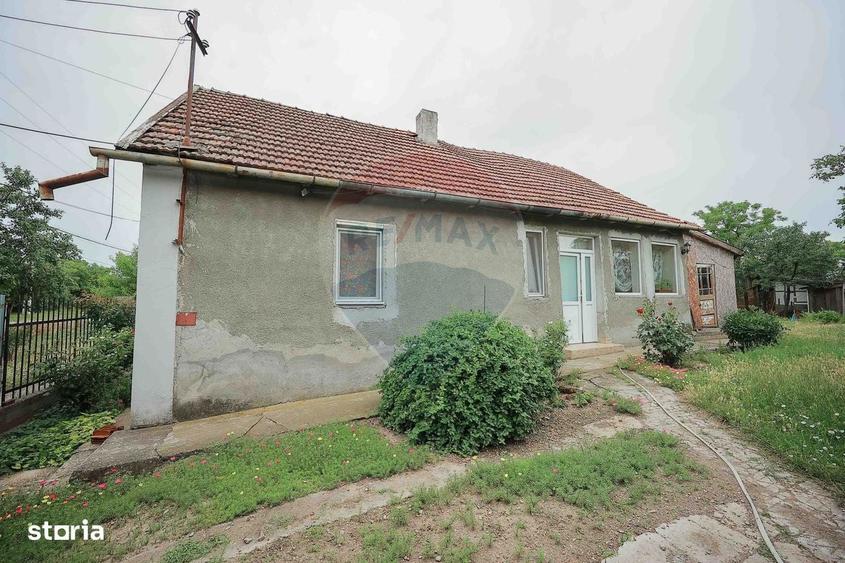 De vanzare casa cu 3 camere si teren 3205 mp in Sannicolau Roman - 4