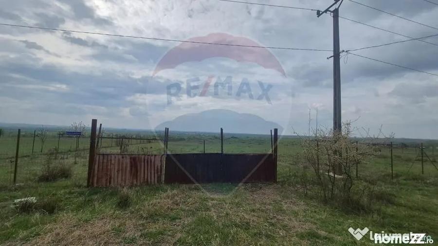 Teren în Central
