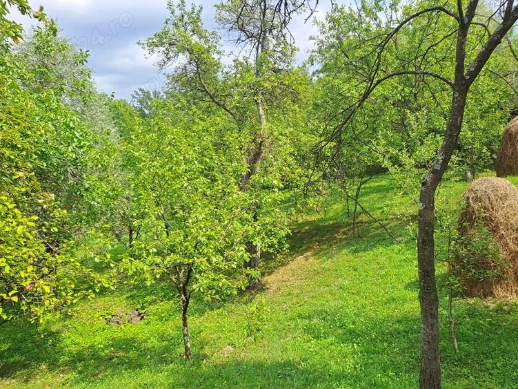 Teren în Șotrile