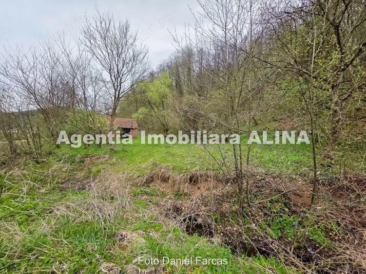 Teren intravilan 1.700 mp + 6.600 mp Padure de foioase + 1.200 mp Padure de foioase, Sat Nojag. - 15