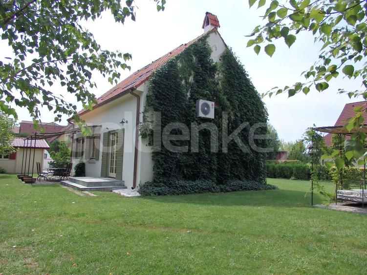 Vila speciala cu gradina superba de 1000mp - 14