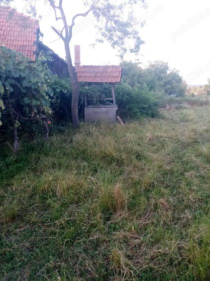 Casa de vanzare Gladna Romana, judetul Timis - 2