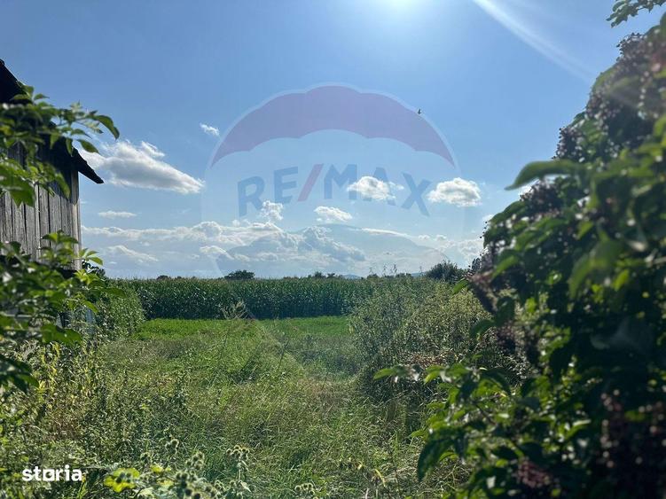 Teren intravilan 3.765 mp cu casa Bodesti de Jos - 9