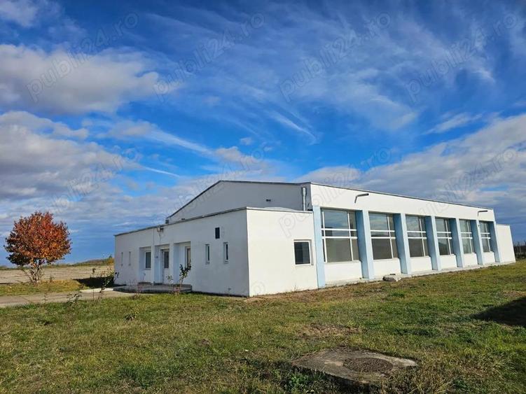 Hala industriala de inchiriat - 5