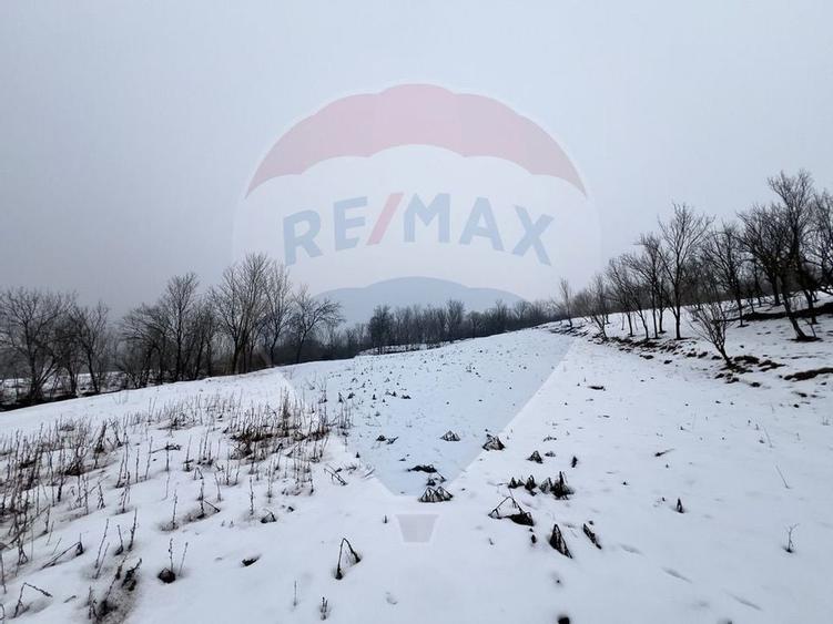 Casa cu 2 camere si teren 4887mp de vanzare in Dabaca - 11