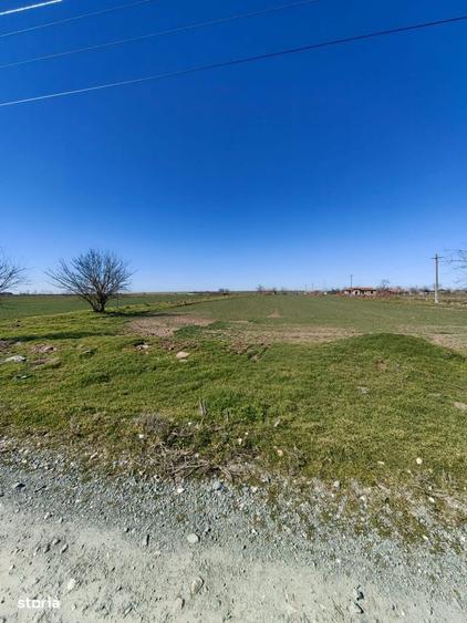 Teren 7.061 mp de vanzare Dropia, Tortomanu | 5/mp | Parcelabil - 5