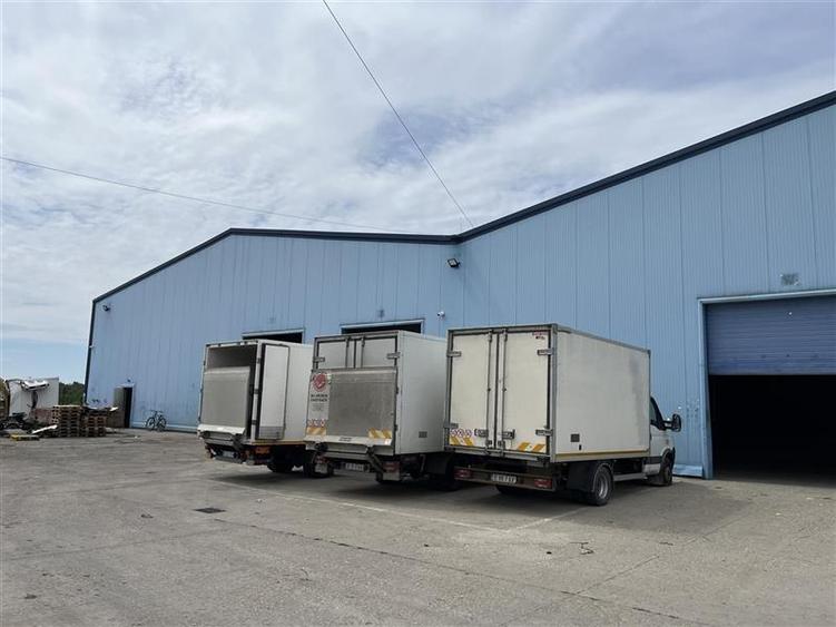 Inchiriere depozit/hala/spatiu industrial Bragadiru - Centura - 3