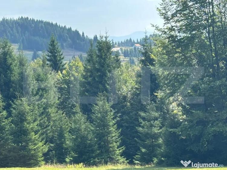 Vanzare teren intravilan de 2 hectare, in Pasul Tihu?a - 6