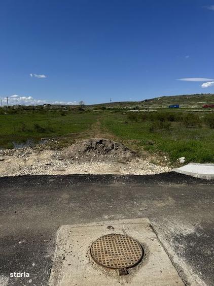 Loturi de 500MP zona Walter - Prelungirea Linistii - 2