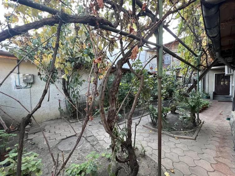 Vila Ultracentral-Gh Doja - 10