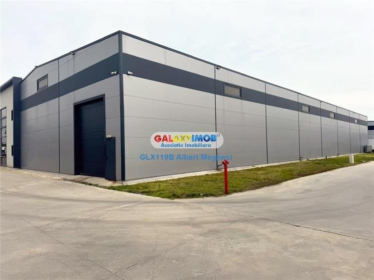 Vanzare Spatiu Depozitare/Hala Centura-Mogosoaia - 2