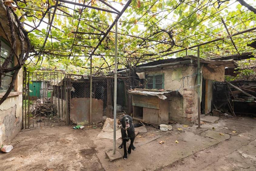 RECO  Casa in Episcopia Bihor cu teren de 704mp - 15