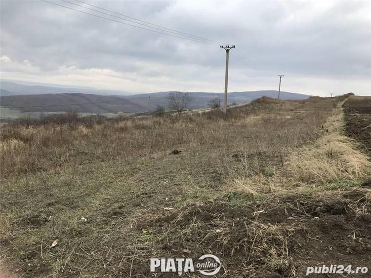 Teren extravilan - 4