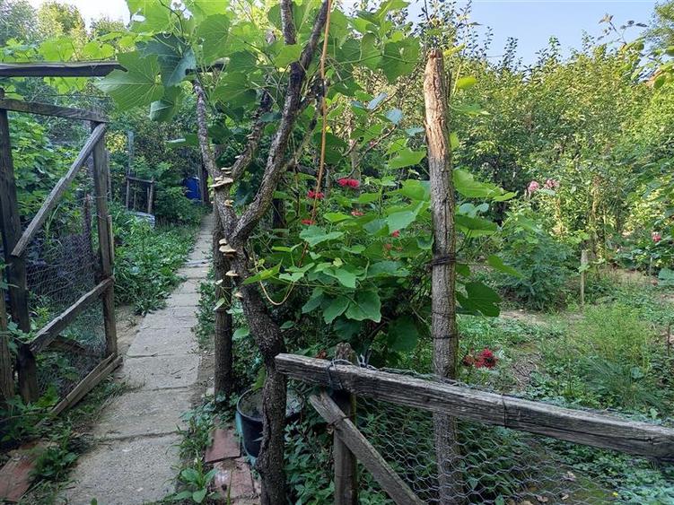 Ilidia, Casa 8 Incaperi, 744mp Teren, Zona Turistica, Pret Usor Negociabil - 23