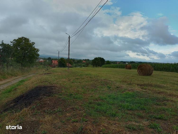 Teren intravilan de vanzare - 1