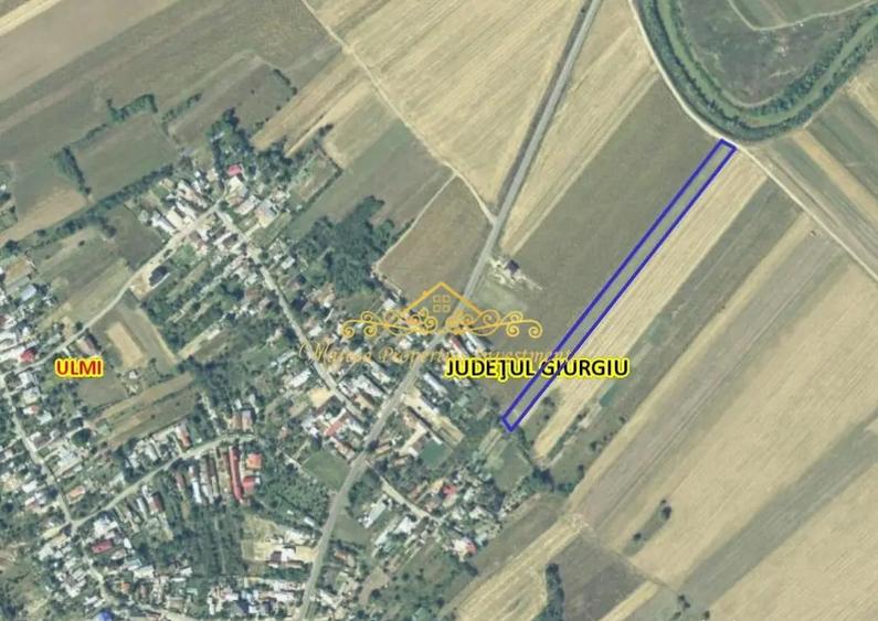 Teren, 7470 mp Trestieni Ulmi si casa - 4