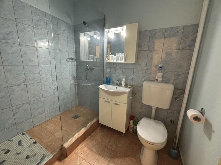 Apartament 1 camera la 10 minute de Iulius Mall - 12