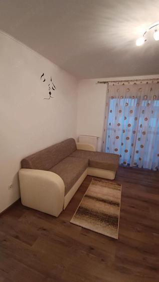 Apartament 2 camere mobilat utilat Doamna Stanca - 6