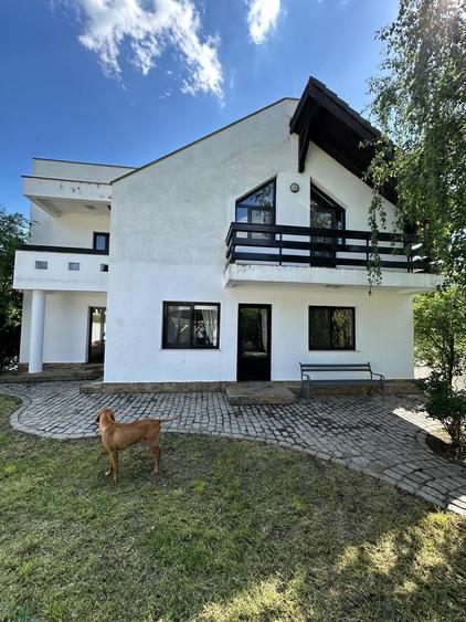 Vila Bucium cod 158289 - 6