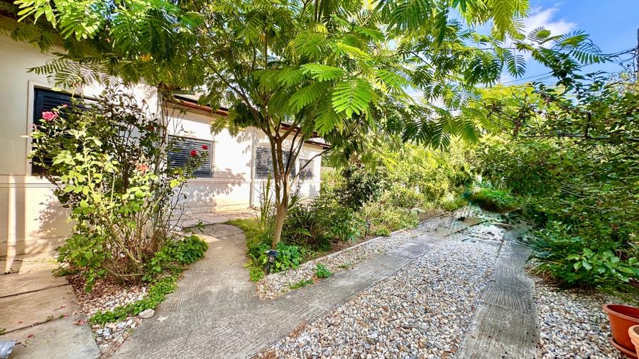 Ciorogarla casa 4 dormitoare, teren 1200 mp - 2